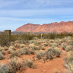 Lot 128