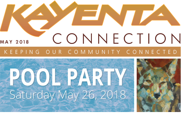 Kayenta Homes and Properties Pool Party