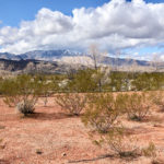 Lot 160 Kayenta