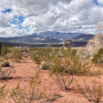 Lot 160 Kayenta