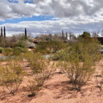 Lot 160 Kayenta