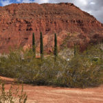 Lot 160 Kayenta