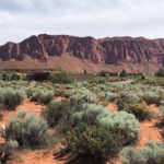 Lot 343 kayenta