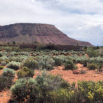 Lot 343 kayenta
