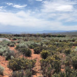 Lot 343 kayenta