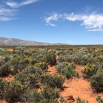 Lot 343 kayenta