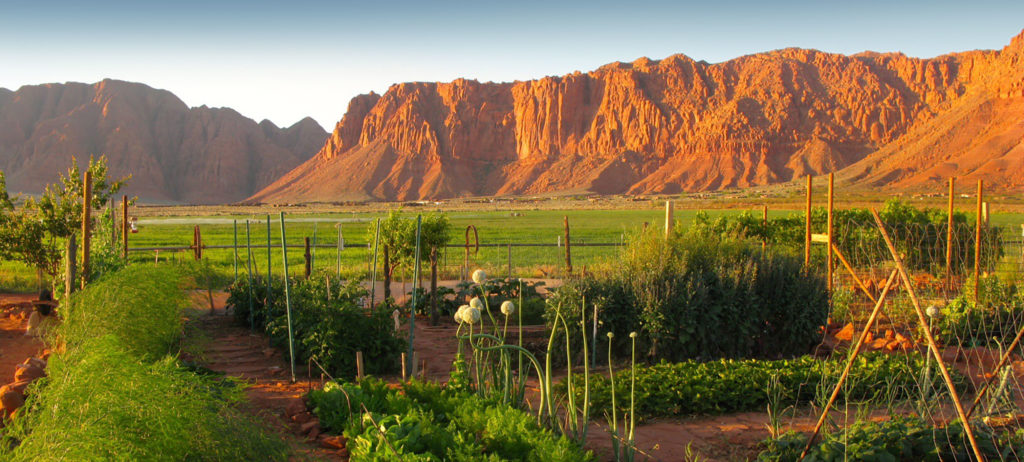 Kayenta Community Garden