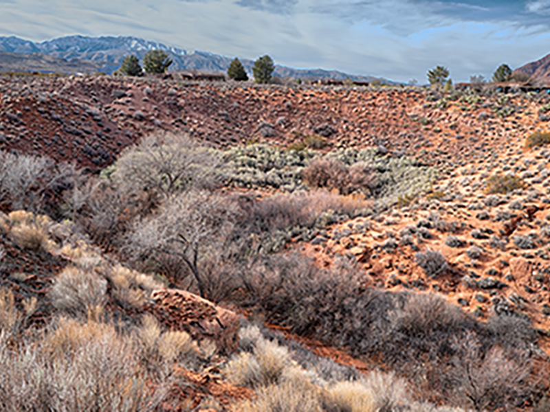 Kayenta Tamarisk