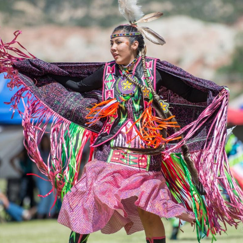 Festival of the Americas