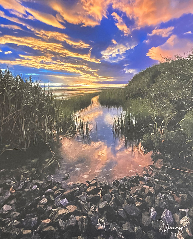 Raindrop Sunset by Nancy Forman