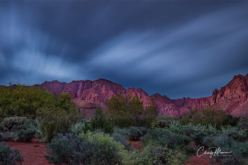 Charly Moore Photography