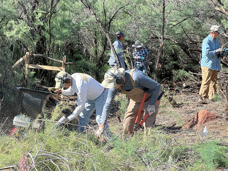 DPI volunteers at work in the field.