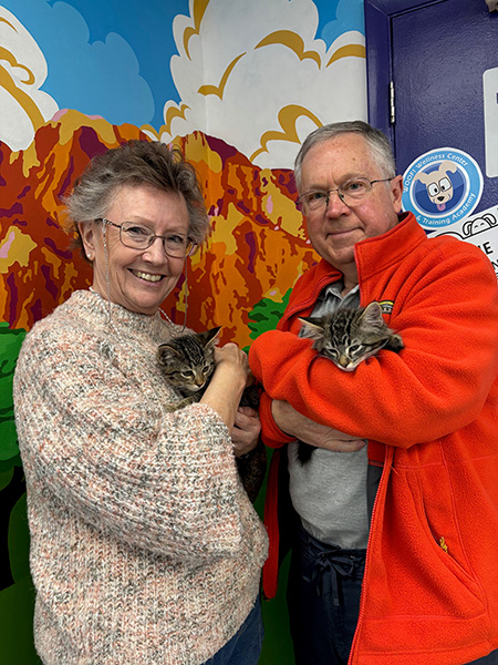 New kittens adopted from PAWS, Orville and Wilber