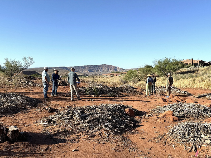 Rather than piling wood debris, the experts agree that spreading them out will better protect the soil and encourage regrowth.