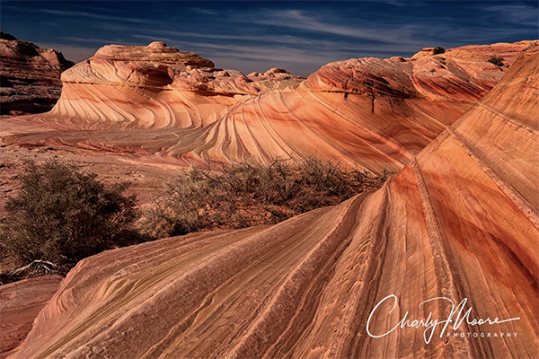 Charly Moore Photography