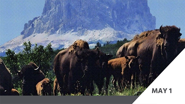 DOCUTAH PRESENTS: Bring Them Home
