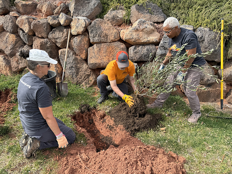 DPI president Deonne Knill, left, and treasurer Carole Richard, right, help plant a shrub on the soccer field