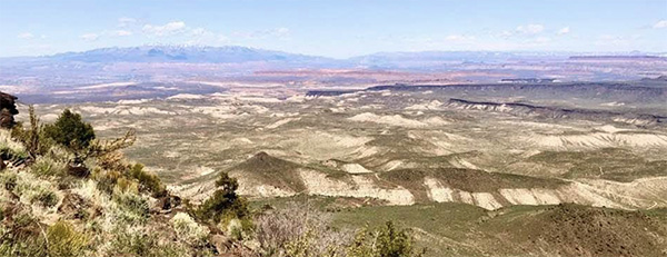 Trips and Trails