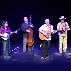 Native Grass band