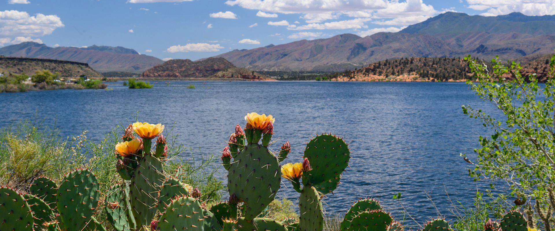 Gunlock Reservoir Utah