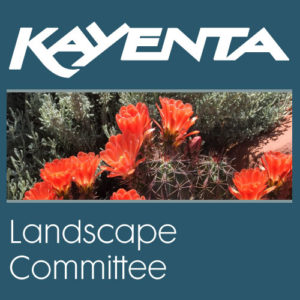 kayenta landscape committee