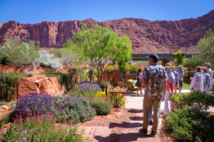 Kayenta Garden Tour