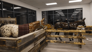 trips-donkey-museum Trips and Trails