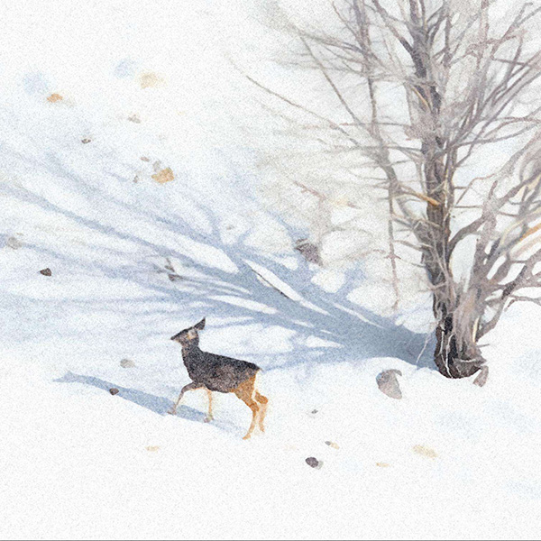 4-week Series Class: Introduction to Watercolor for Beginners