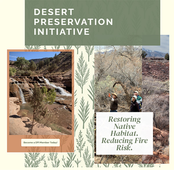 Desert Preservation Initiative